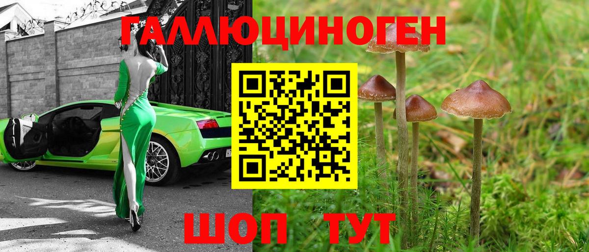 Псилоцибиновые грибы ЛСД Карачаевск