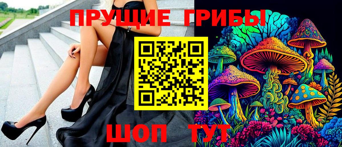 Карачаевск  Галлюциногенные грибы прущие грибы  Вход с VPN 